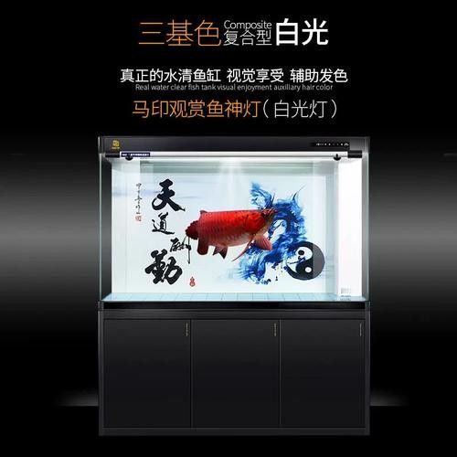 馬印龍魚(yú)燈LED燈管價(jià)格是多少（印龍魚(yú)燈led燈管價(jià)格因品牌、規(guī)格和質(zhì)量等因素而異）