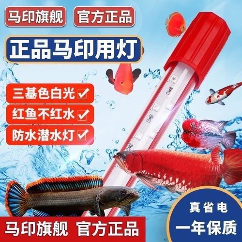 馬印龍魚(yú)燈LED燈管價(jià)格是多少（印龍魚(yú)燈led燈管價(jià)格因品牌、規(guī)格和質(zhì)量等因素而異）