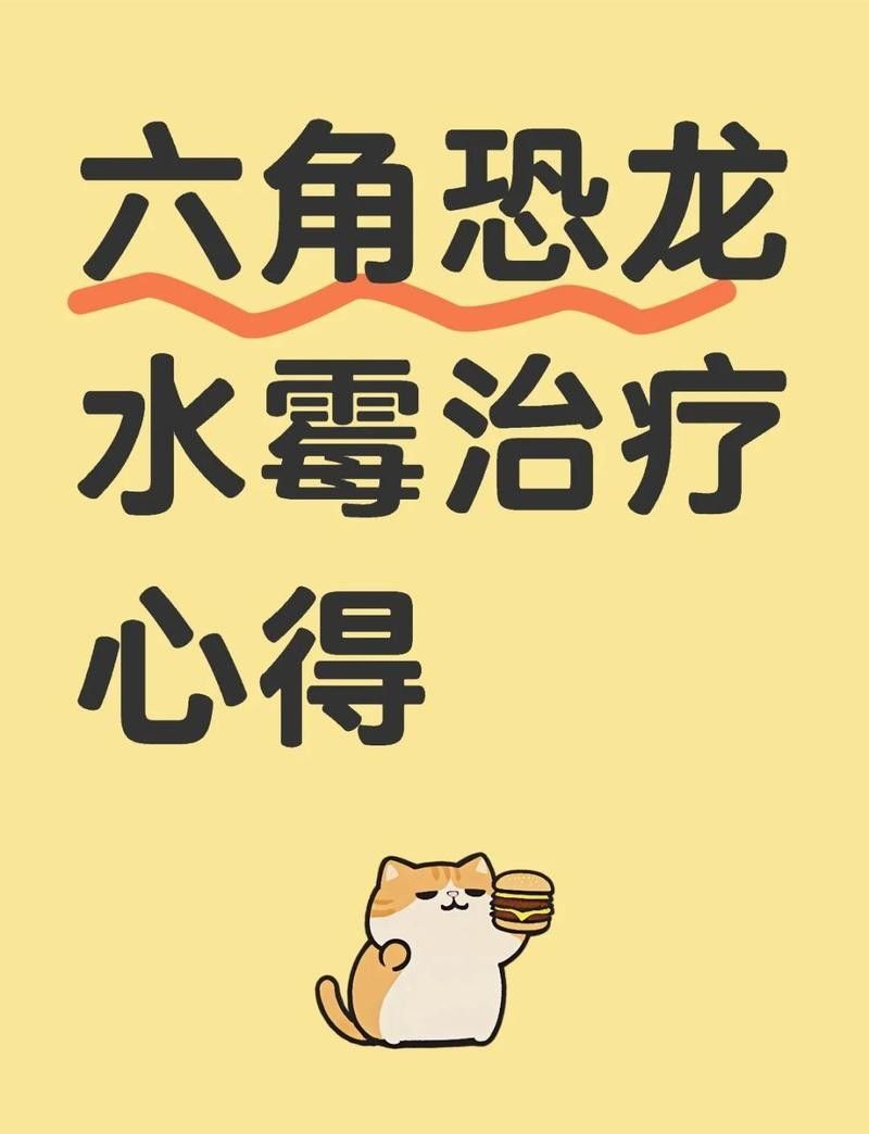 如何保持六角龍飼養水的清潔（保持六角龍飼養水的清潔步驟）