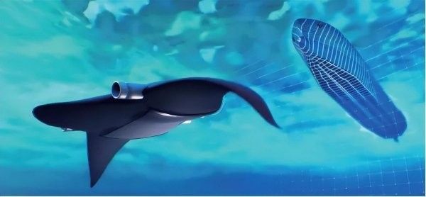 金龍魚仿生機器人有哪些型號？（中國“未來武器”出現王子看臺海聽金龍魚仿生機器人） 金龍魚仿生機器人有哪些型號？（中國“未來武器”出現王子看臺海聽金龍魚仿生機器人） 龍魚百科 第8張