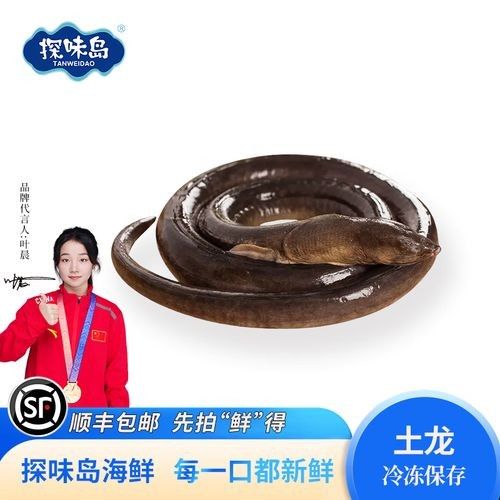 哪里可以買到新鮮的汕頭杜龍魚（新鮮汕頭杜龍魚的購買方法）