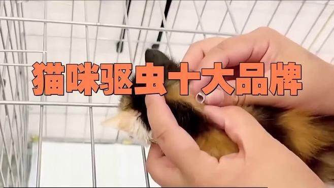 吡喹酮有哪些品牌推薦