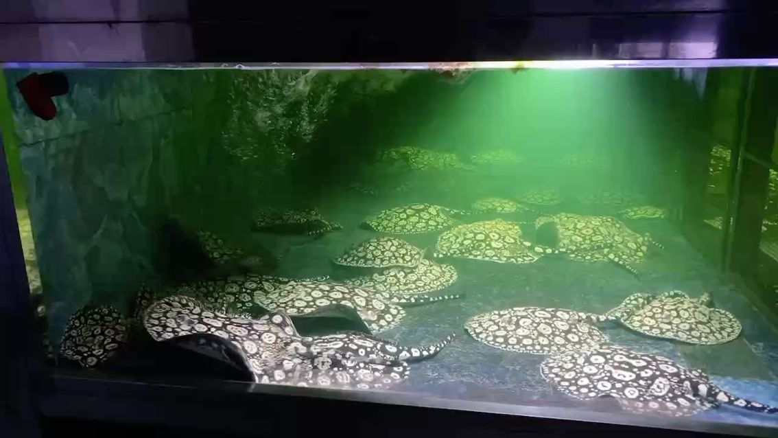 欣泰漁場（中國浙江省舟山群島欣泰漁場的漁業發展歷史悠久且具有豐富漁業資源）