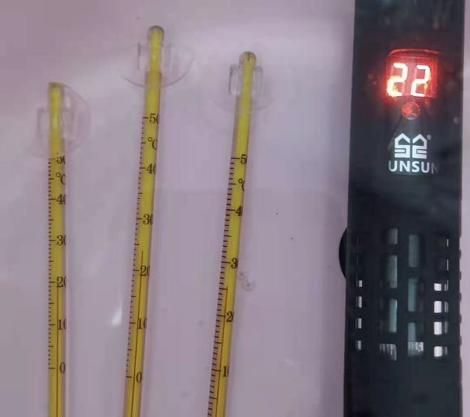 如何校準(zhǔn)魚缸水溫計(jì)（如何正確校準(zhǔn)魚缸水溫計(jì)）