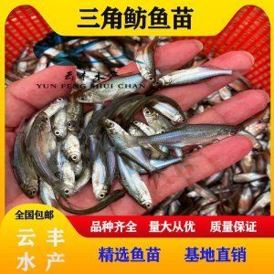 發一個3米的缸設計圖多圖（3米缸設計圖多圖）
