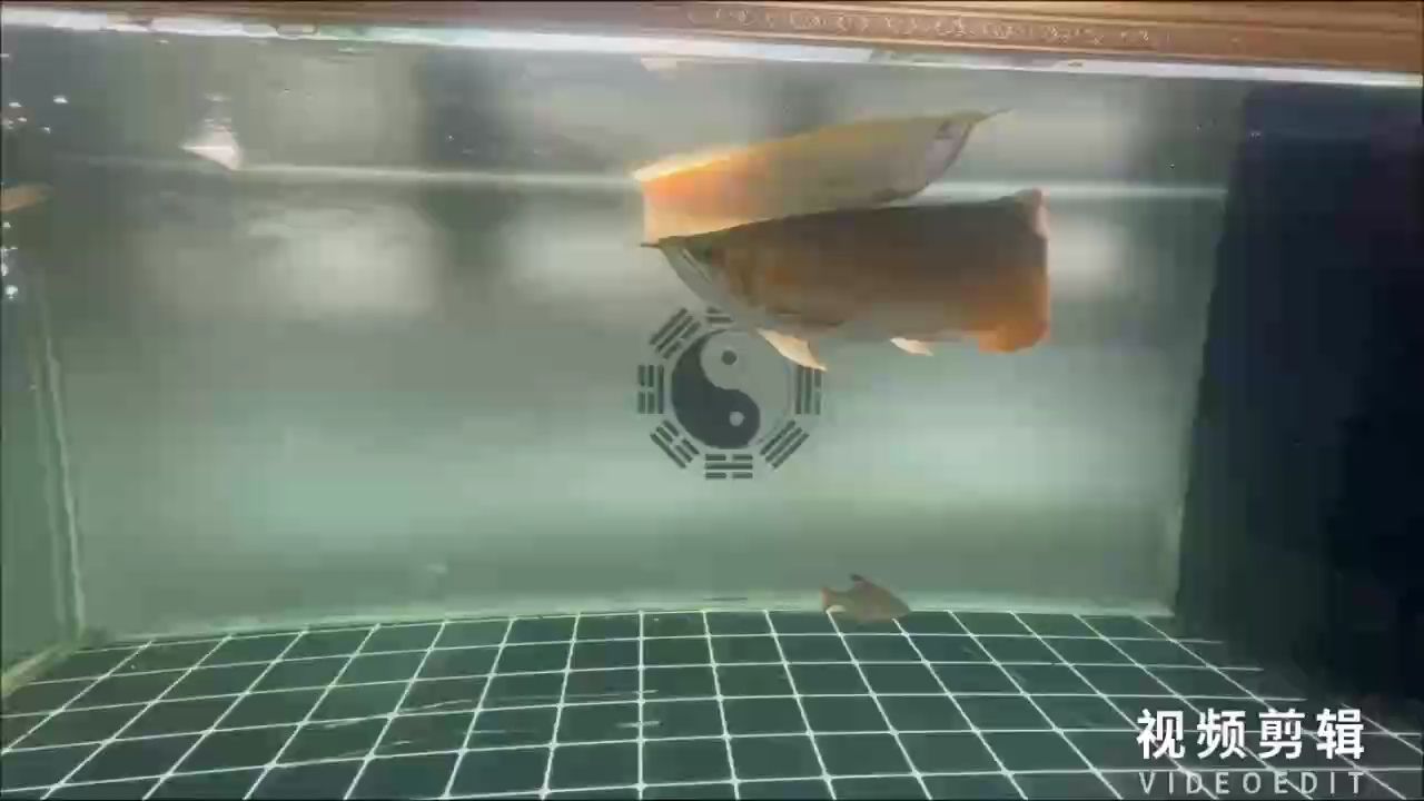 每天打卡（每天打卡對個人成長和成功的影響）