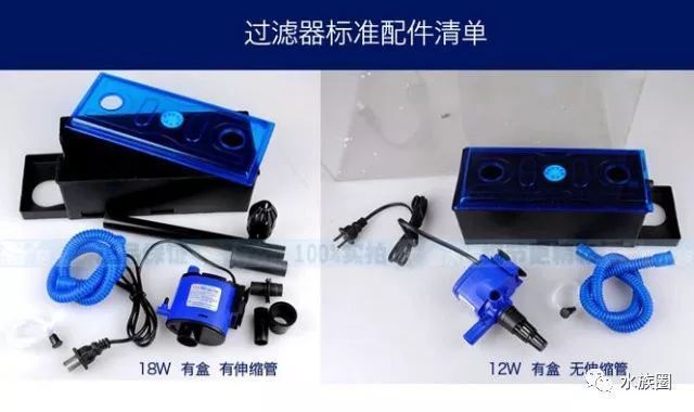 龍魚入缸有不適應怎么辦（龍魚入缸不開口怎么辦）（龍魚入缸的注意事項）