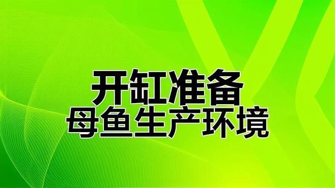 哪些設備是繁殖缸必備的？（繁殖缸選擇多大尺寸好呢）