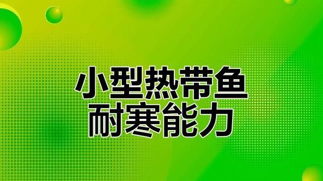 孔雀魚和曼龍魚哪個更耐寒（孔雀魚冬季無需加熱棒也能存活孔雀魚低溫極限揭秘指尖匠） 孔雀魚和曼龍魚哪個更耐寒（孔雀魚冬季無需加熱棒也能存活孔雀魚低溫極限揭秘指尖匠） 龍魚百科 第2張