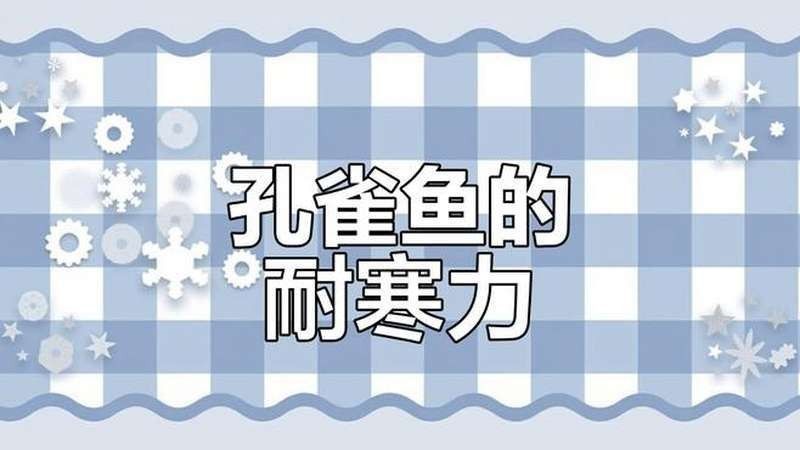 孔雀魚和曼龍魚哪個更耐寒（孔雀魚冬季無需加熱棒也能存活孔雀魚低溫極限揭秘指尖匠） 孔雀魚和曼龍魚哪個更耐寒（孔雀魚冬季無需加熱棒也能存活孔雀魚低溫極限揭秘指尖匠） 龍魚百科 第8張