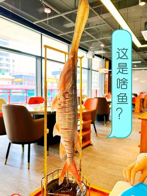 有沒有海南土龍魚生態(tài)攝影作品？（關(guān)于海南土龍魚生態(tài)攝影作品的簡要分析）