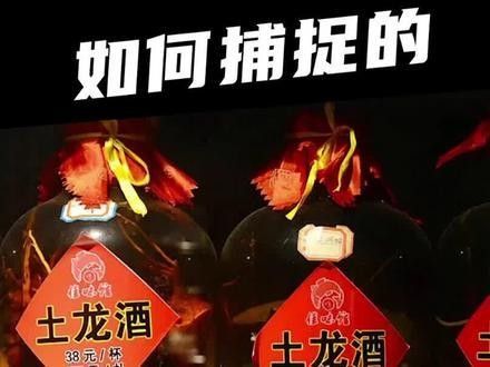 有沒有海南土龍魚生態(tài)攝影作品？（關(guān)于海南土龍魚生態(tài)攝影作品的簡要分析）