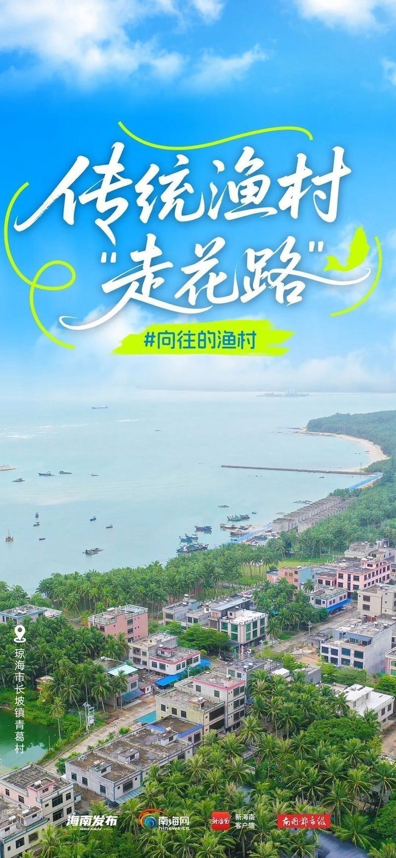 有沒有海南土龍魚生態(tài)攝影作品？（關(guān)于海南土龍魚生態(tài)攝影作品的簡要分析）