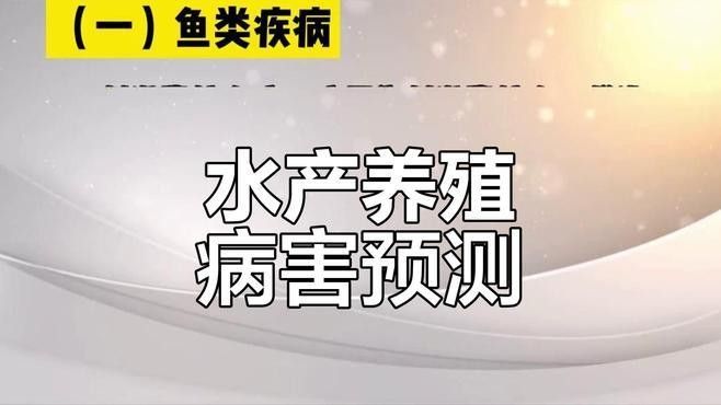 黑龍魚和紅龍魚哪個更好養（養紅龍魚需要注意什么看這一篇就夠了養紅龍魚發色出狀態攻略） 黑龍魚和紅龍魚哪個更好養（養紅龍魚需要注意什么看這一篇就夠了養紅龍魚發色出狀態攻略） 龍魚百科 第7張