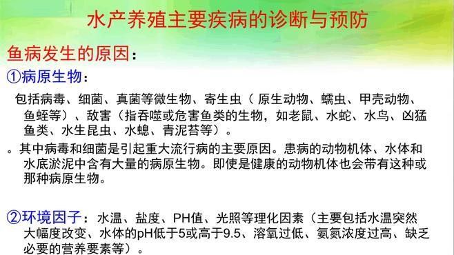 黑龍魚和紅龍魚哪個更好養（養紅龍魚需要注意什么看這一篇就夠了養紅龍魚發色出狀態攻略） 黑龍魚和紅龍魚哪個更好養（養紅龍魚需要注意什么看這一篇就夠了養紅龍魚發色出狀態攻略） 龍魚百科 第8張