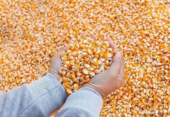如何科學(xué)配制自制飼料？