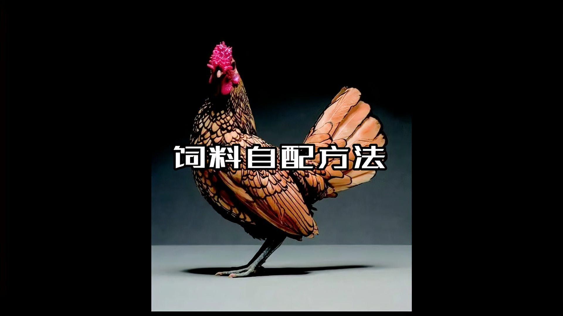 如何科學(xué)配制自制飼料？