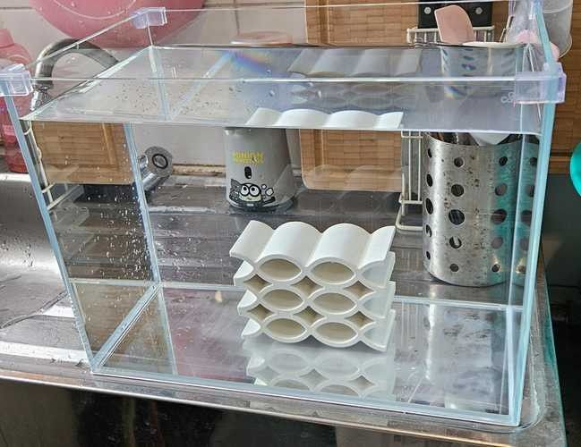 混養時如何避免爭斗? 龍魚百科 第6張 混養時如何避免爭斗? 混養時如何避免爭斗? 龍魚百科 第6張