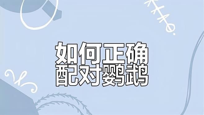 混養時如何避免爭斗？ 混養時如何避免爭斗？ 龍魚百科 第3張