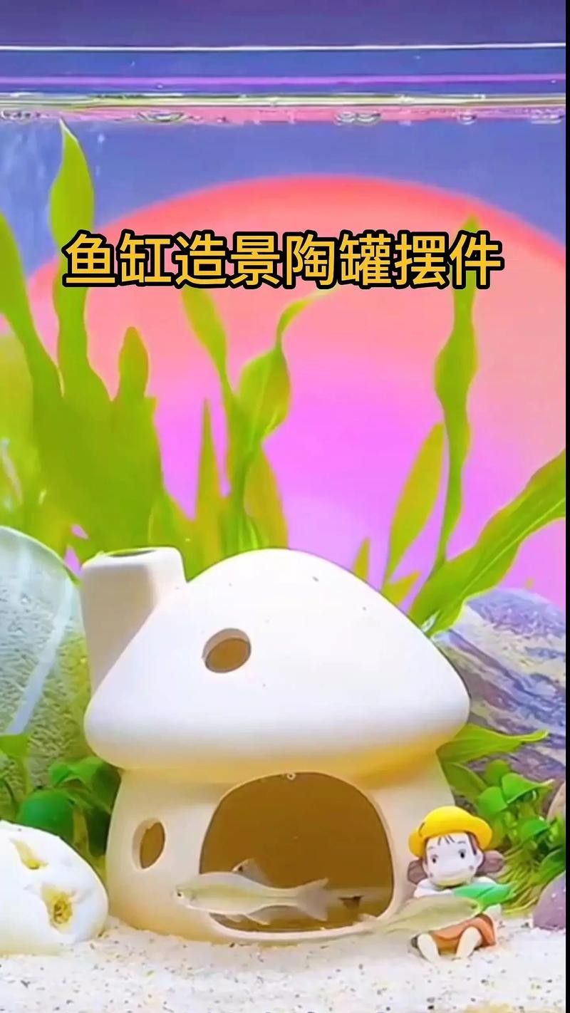 混養時如何避免爭斗? 龍魚百科 第9張 混養時如何避免爭斗? 混養時如何避免爭斗? 龍魚百科 第9張