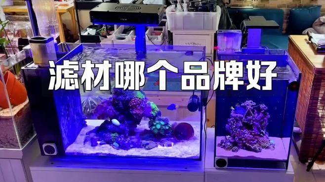 給我推薦幾款適合金龍魚的濾材品牌 給我推薦幾款適合金龍魚的濾材品牌 龍魚百科 第5張