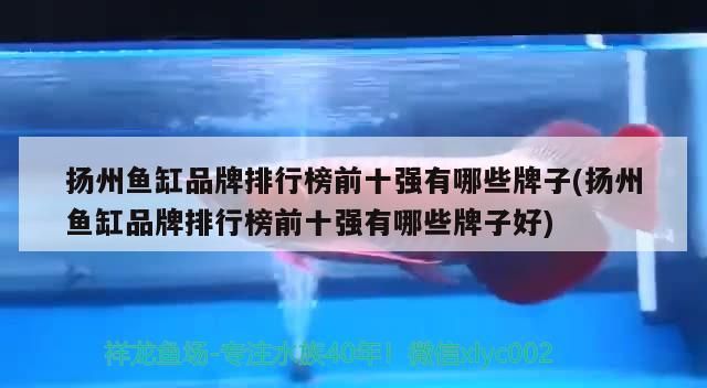 龍魚 揚州魚缸品牌排行榜前十強有哪些牌子(揚州魚缸品牌排行榜前十強有哪些牌子好)(揚州魚缸品牌排行榜前十強) 觀賞魚百科 揚州魚缸品牌排行榜前十強有哪些牌子(揚州魚缸品牌排行榜前十強有哪些牌子好)(揚州魚缸品牌排行榜前十強) 揚州魚缸品牌排行榜前十強有哪些牌子(揚州魚缸品牌排行榜前十強有哪些牌子好)(揚州魚缸品牌排行榜前十強) 觀賞魚百科