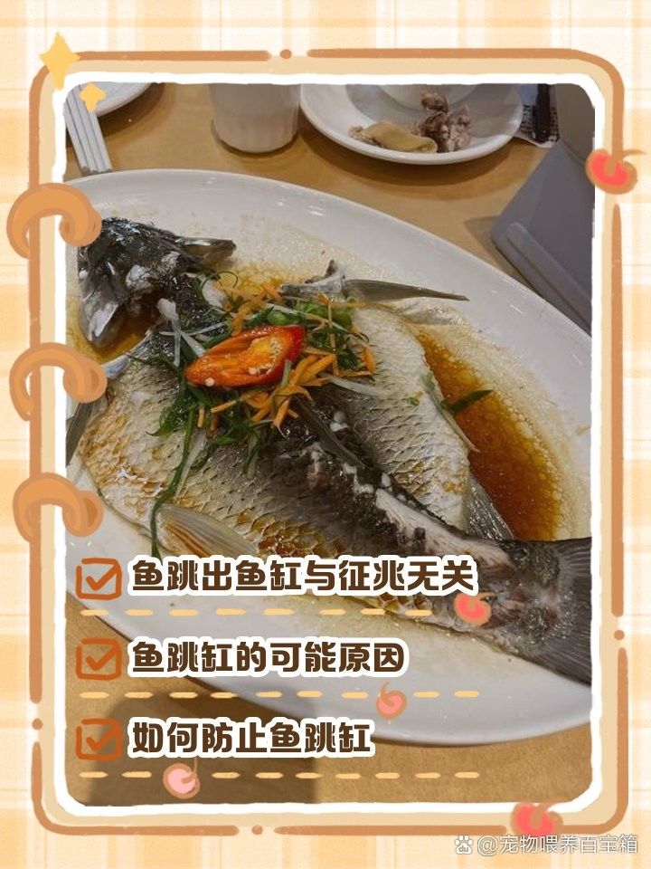 龍魚撞缸死亡有征兆嗎（龍魚撞缸死亡前兆） 龍魚撞缸死亡有征兆嗎（龍魚撞缸死亡前兆） 龍魚百科 第7張