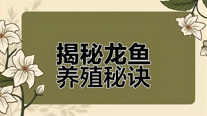 紅龍魚BTL的繁殖歷史如何（紅龍魚btl的繁殖歷史） 紅龍魚BTL的繁殖歷史如何（紅龍魚btl的繁殖歷史） 龍魚百科 第1張