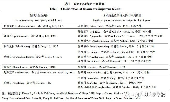 紅龍魚BTL的繁殖歷史如何（紅龍魚btl的繁殖歷史） 紅龍魚BTL的繁殖歷史如何（紅龍魚btl的繁殖歷史） 龍魚百科 第3張