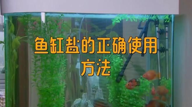 龍魚換水后趴缸需要加鹽嗎（魚缸換水加鹽正確方法魚缸換水加鹽正確方法）