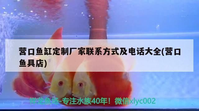 營口魚缸定制廠家聯系方式及電話大全(營口魚具店)（營口市魚缸定制廠家聯系方式及電話大全） 營口魚缸定制廠家聯系方式及電話大全(營口魚具店)（營口市魚缸定制廠家聯系方式及電話大全） 觀賞魚百科