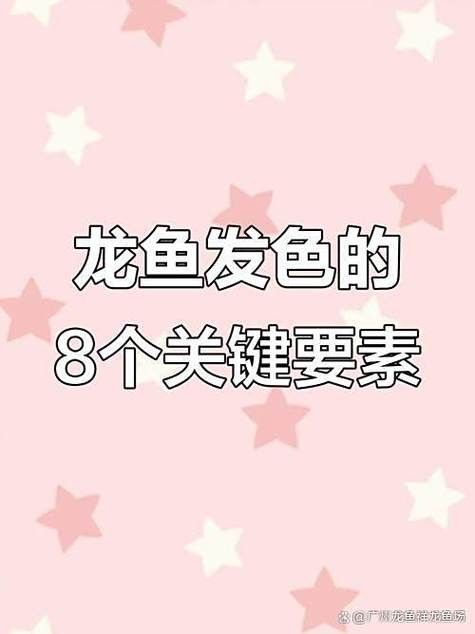 哪里可以買到正宗的紅龍魚幼魚苗（北京觀賞魚市場詳解紅龍魚幼魚苗可能會出售他們的幼魚苗）
