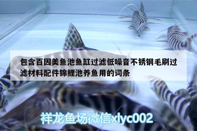 包含百因美魚池魚缸過濾低噪音不銹鋼毛刷過濾材料配件錦鯉池養魚用的詞條 包含百因美魚池魚缸過濾低噪音不銹鋼毛刷過濾材料配件錦鯉池養魚用的詞條 觀賞魚百科