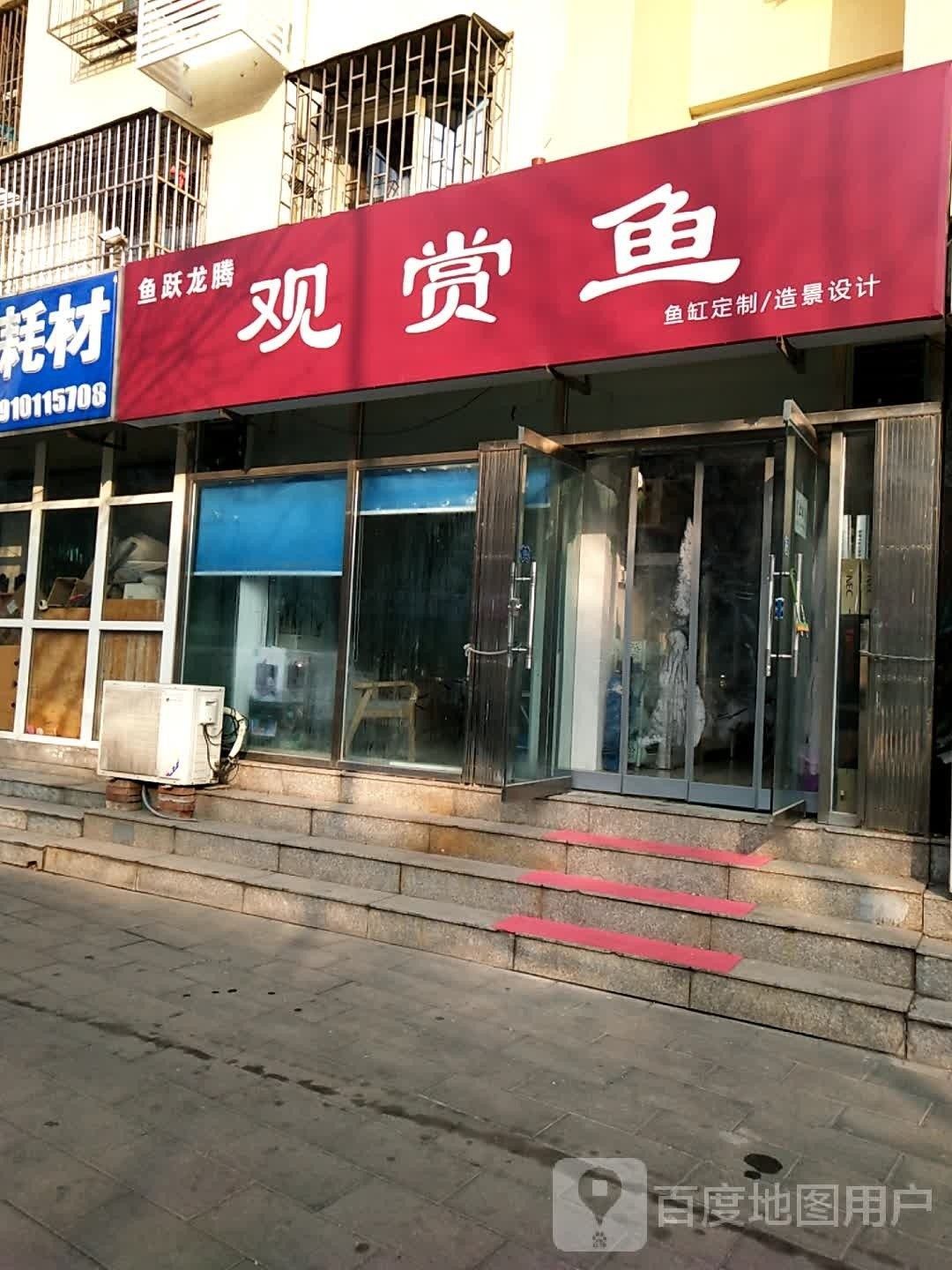 美姑哪個水族館龍魚好？祥龍魚場龍魚（一條龍魚大概要多少錢）