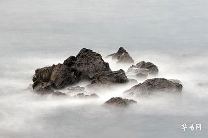 屬蛇者養魚需要注意什么（屬蛇人養魚有哪些禁忌顏色，你中了嗎）