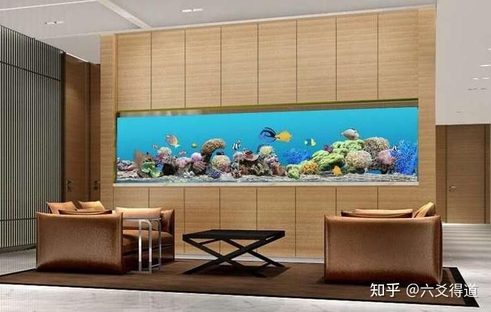 屬蛇者養魚需要注意什么（屬蛇人養魚有哪些禁忌顏色，你中了嗎）