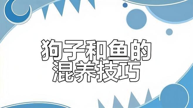 斑馬狗頭魚(yú)的最佳混養(yǎng)環(huán)境設(shè)置