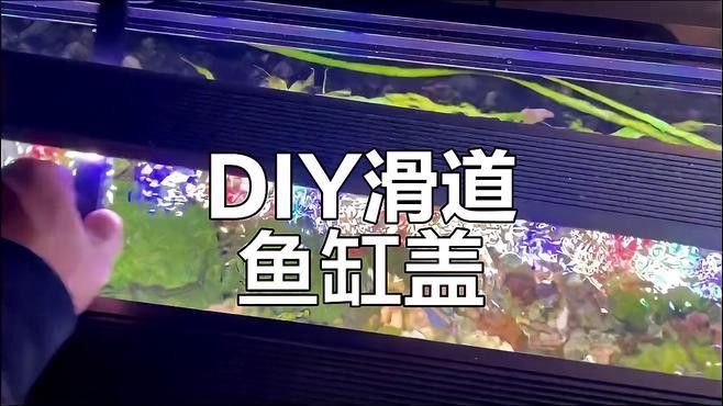如何定制龍魚缸蓋？（周魚魚缸定制龍魚缸定制龍魚缸蓋的幾個關鍵步驟）