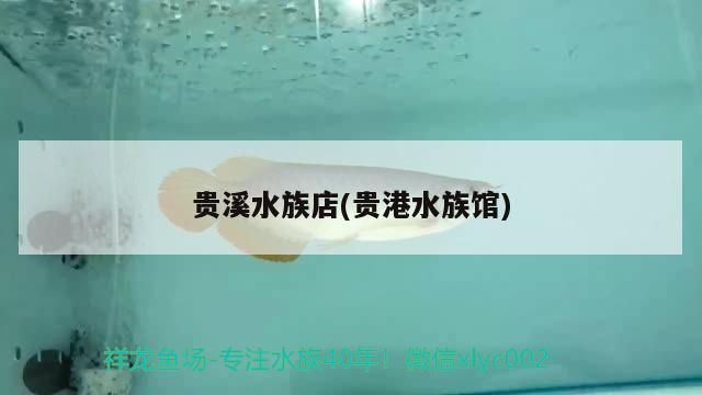 貴溪水族店(貴港水族館)（撫州市臨川區家福美水族店(貴港水族店(貴港水族館）