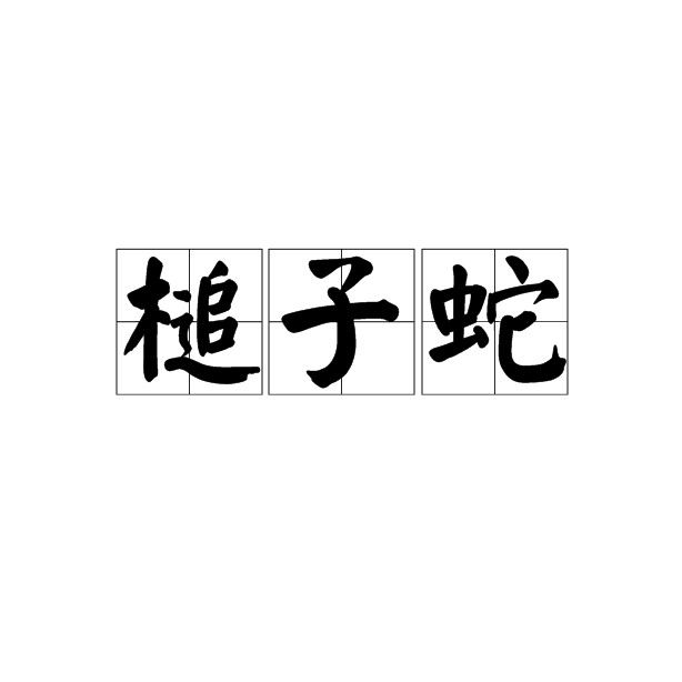 如何區分土龍魚和蛇（土龍魚與蛇的區別）