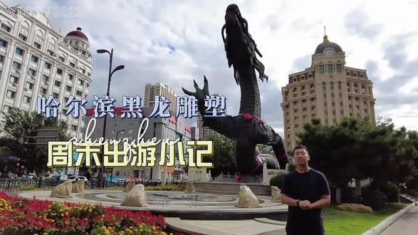 哈爾濱黑龍雕塑的寓意是什么？（哈爾濱東大直街“黑龍”雕塑背后的秘密）