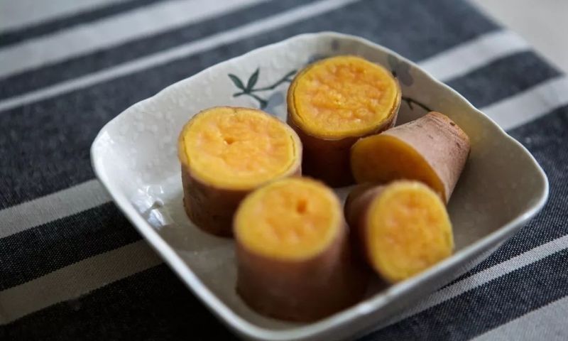 隔離期間需要喂多少食物（隔離期間如何確保食物攝入量充足？） 隔離期間需要喂多少食物（隔離期間如何確保食物攝入量充足？） 龍魚百科 第3張