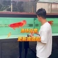 RSK漁場是否提供上門服務？（k牌龍魚水族貿易有限公司rsk漁場是否提供上門服務）