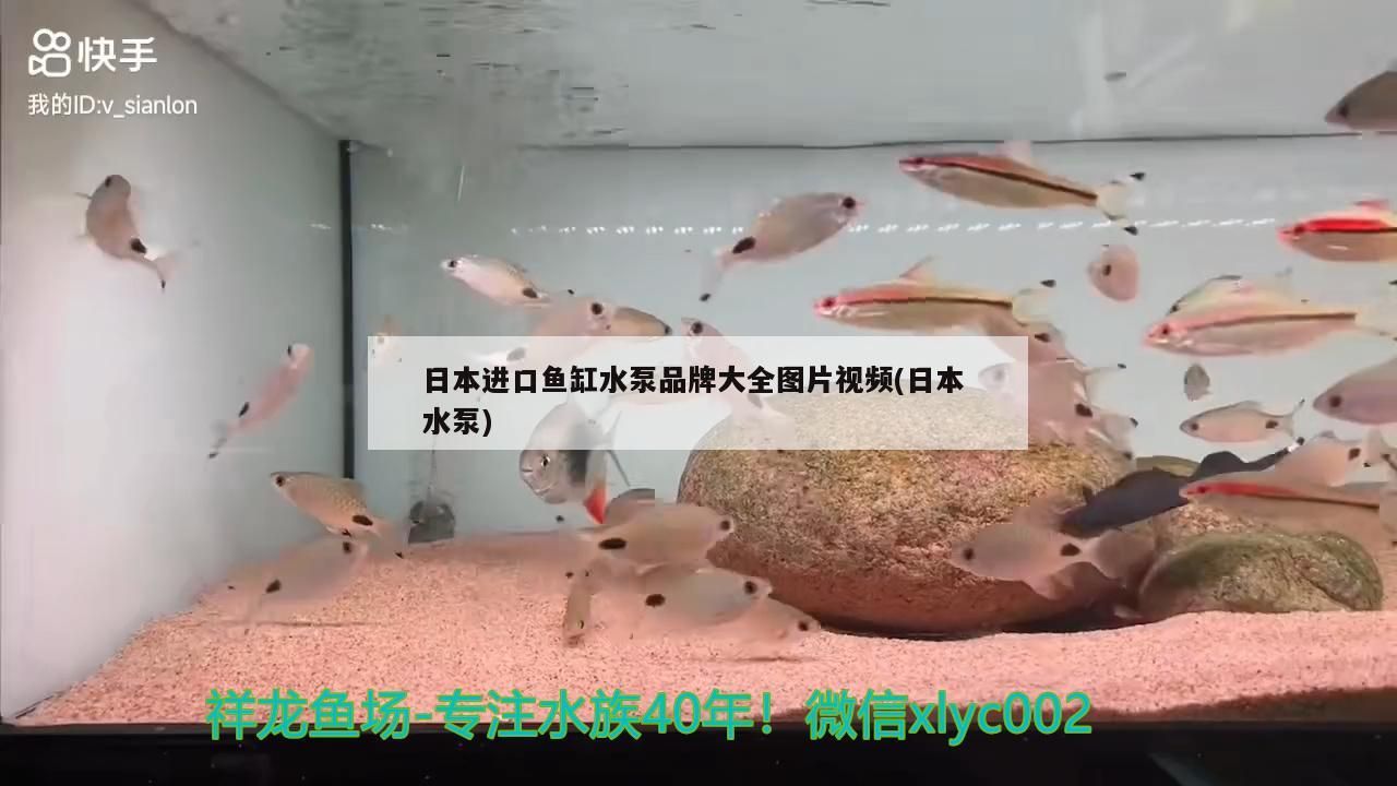 日本進(jìn)口魚缸水泵品牌大全圖片視頻(日本水泵)