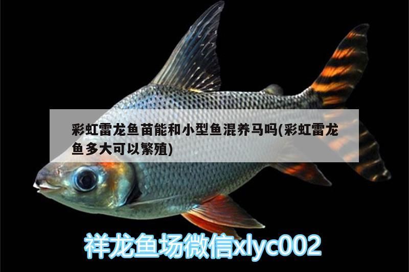 金鉆魚缸配件圖片及價格大全（MINJIANG是什么牌子沖氧泵）（家居家具家具家具家具家具家具家具家具家具）