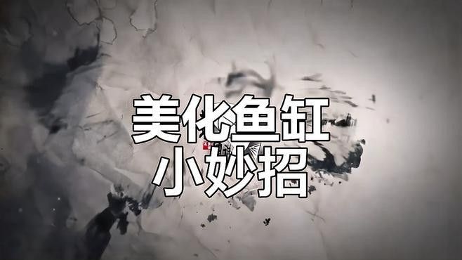 如何固定魚缸背景板 如何固定魚缸背景板 龍魚百科 第2張