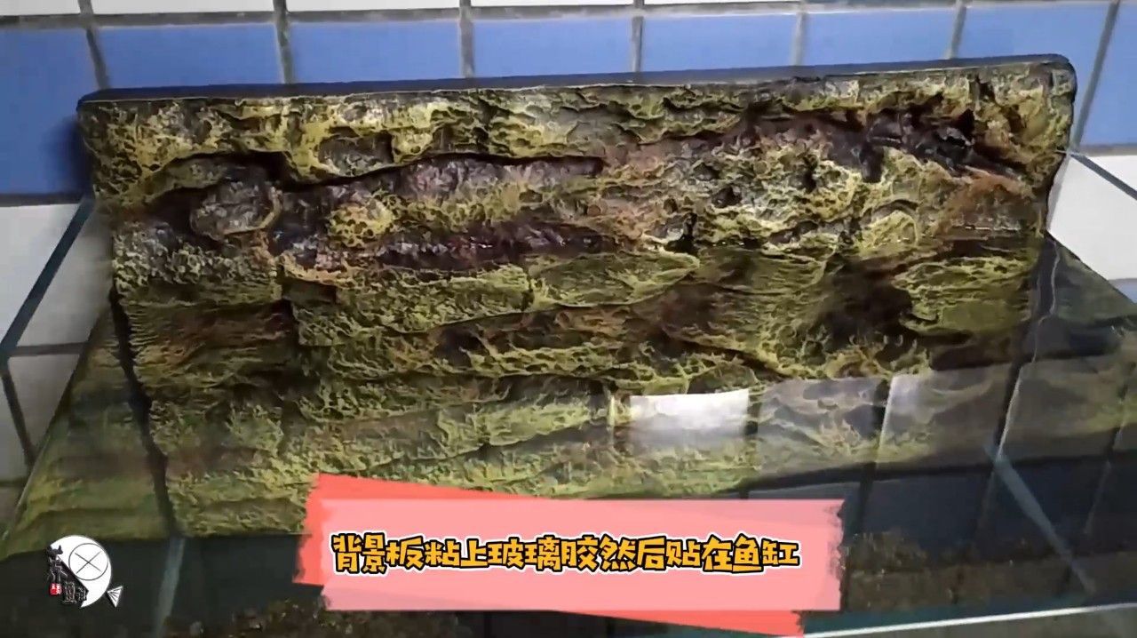 如何固定魚缸背景板 如何固定魚缸背景板 龍魚百科 第3張