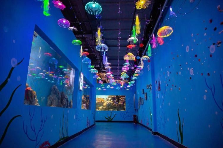 安陽哪個水族館龍魚好？祥龍魚場龍魚（安陽祥龍魚場的龍魚好養嗎）