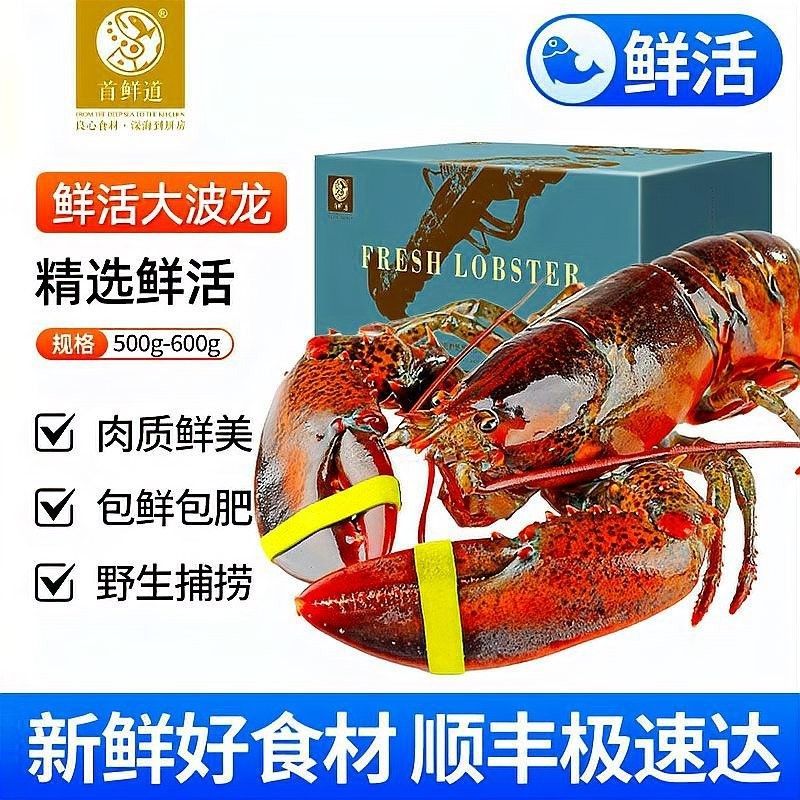 紅龍和澳龍哪個更適合刺身 紅龍和澳龍哪個更適合刺身 龍魚百科 第6張