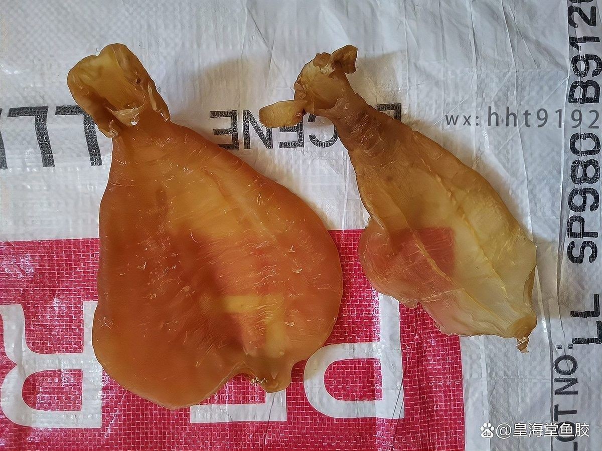 金龍魚膠燉多久才會爛？（皇海堂魚膠，燉煮篇|金龍魚膠多久吃一次最好避開這些問題）